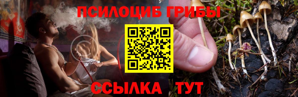 Псилоцибиновые грибы MAGIC MUSHROOMS Бузулук