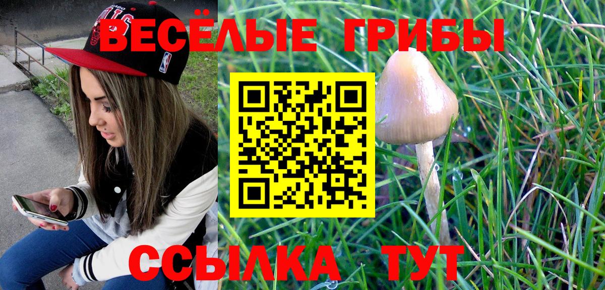 Бузулук  Галлюциногенные грибы Cubensis  Вход с VPN 