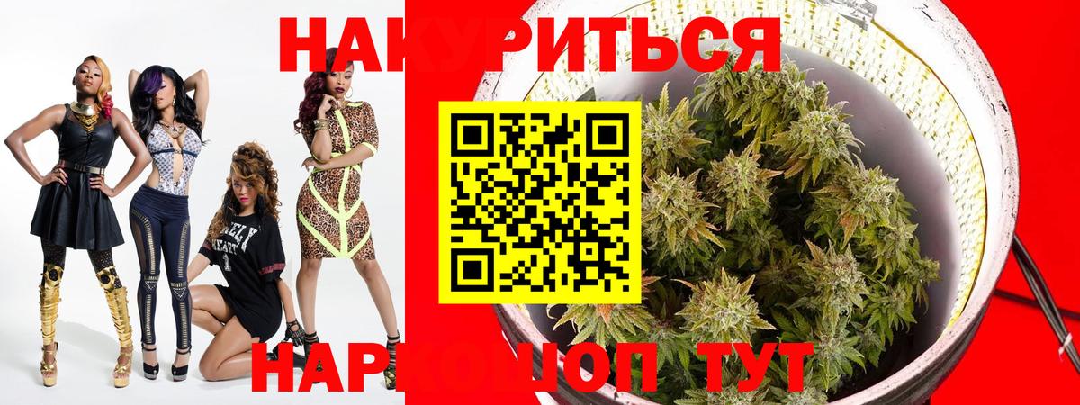 Марихуана сатива Бузулук